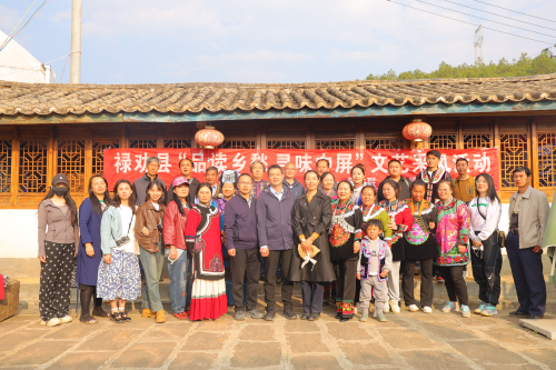 图片8