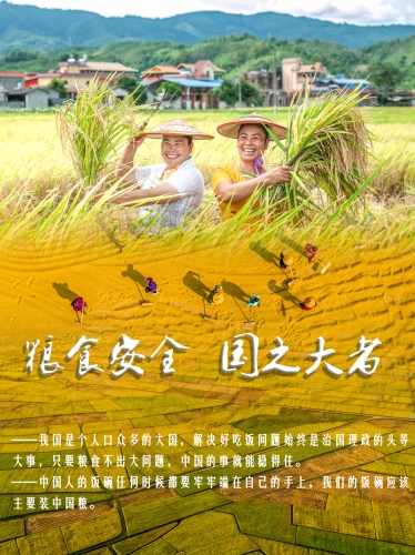 粮食安全—德宏州选送