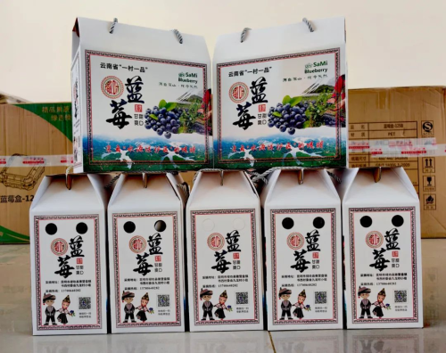 微信图片_20240429083009