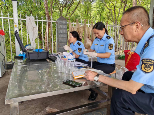 图片1