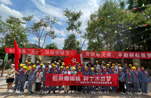 图片5