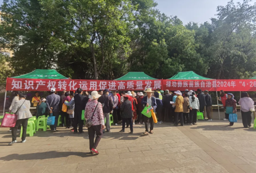 图片2
