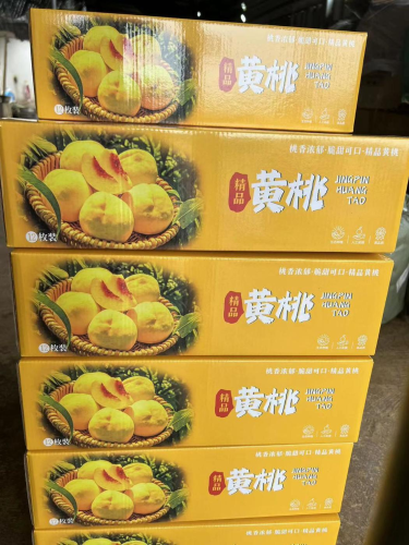 1718116078_1863