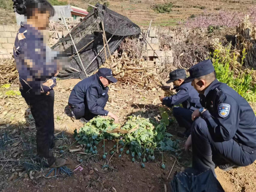 图片3