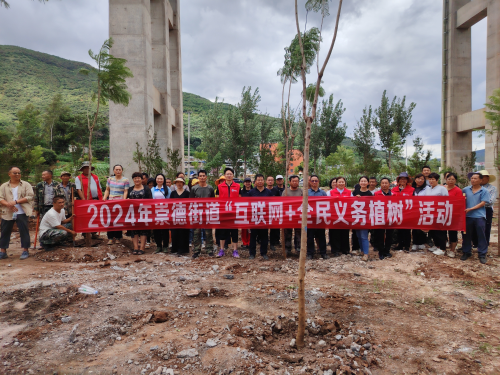 图片4
