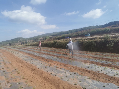 b64097a48a1004df3d7ea8e1c8c813a