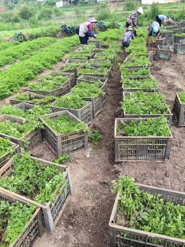 微信图片_20240708103709