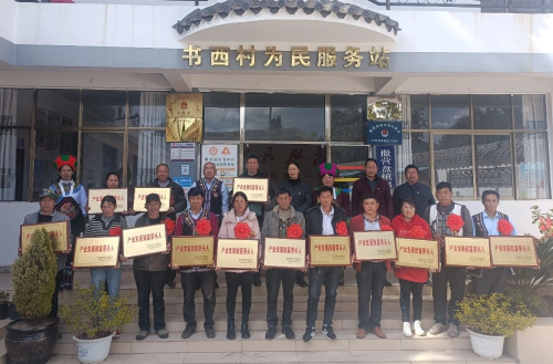 图片5