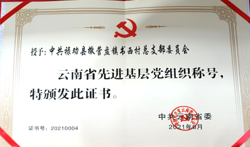 图片6