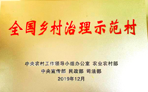 图片7