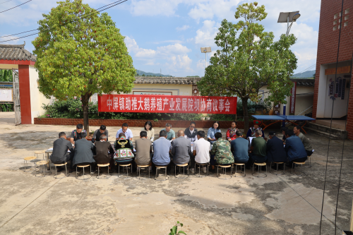 图片1