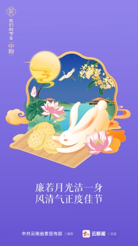 画板 1_54