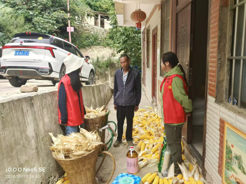 图片3