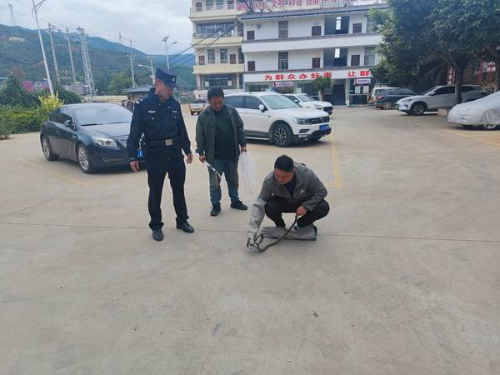 图片1