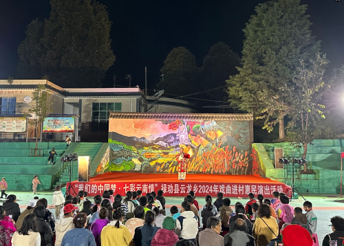 图片1