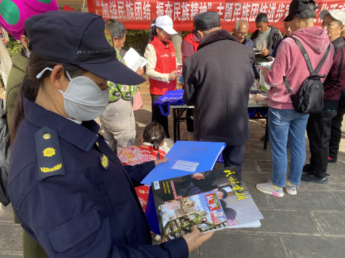 图片1