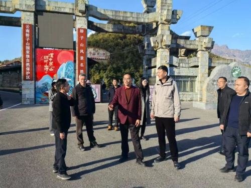 图片1