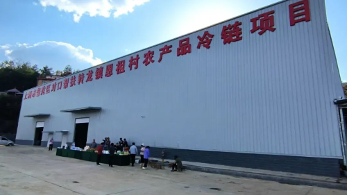 图片1