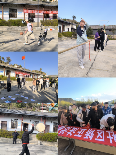 图片3