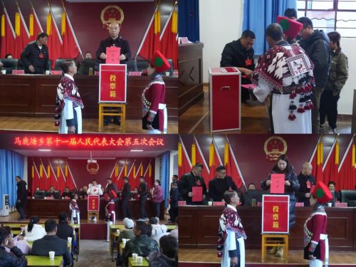 图片3