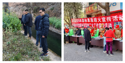 图片6