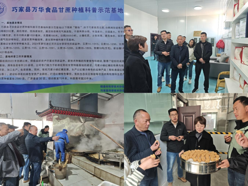 图片3
