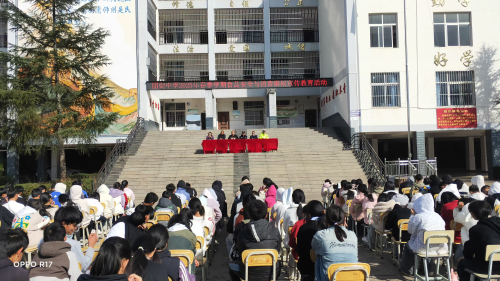 图片4