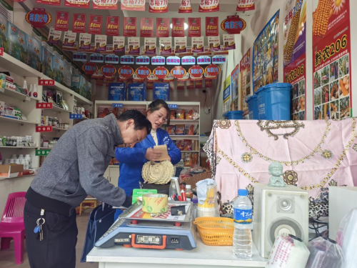 图片1