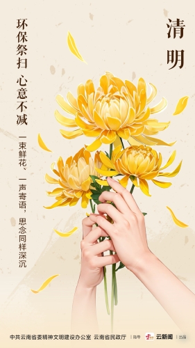 画板 1_14