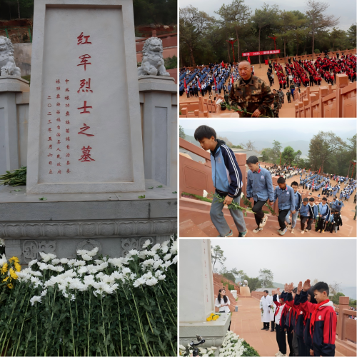 图片8