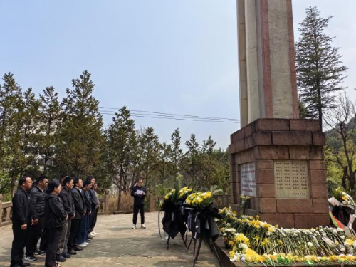 图片12