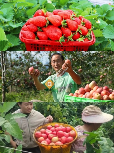 1743645021_4813