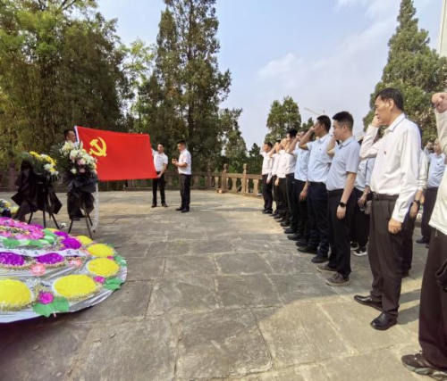 图片7
