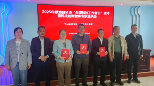 图片4