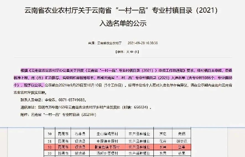 图片6