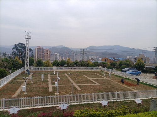 图片2