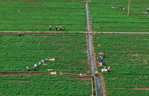 DJI_20250709093634_0015_D_WZP