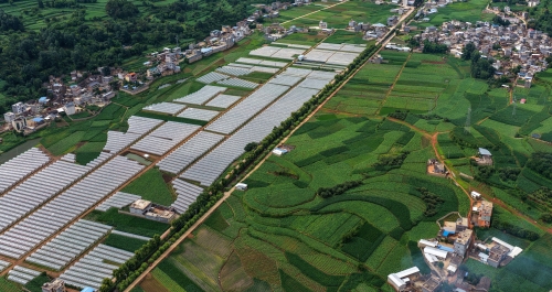 DJI_20250709095929_0037_D_WZP