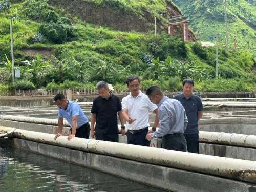 微信图片_2025-07-29_151852_882