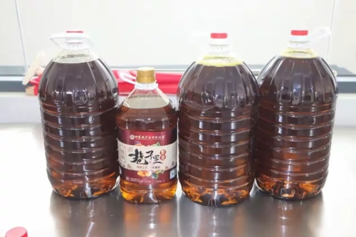 微信图片_2025-09-08_083830_473