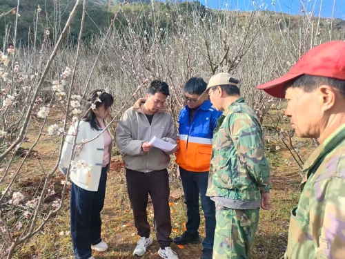 8e7e71df32ba0a762642eeb9d9c12c2f