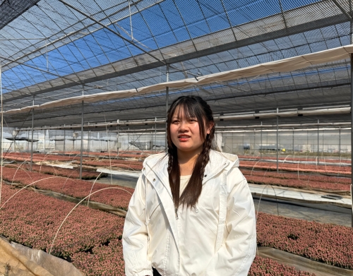 多肉种植基地负责人 申亚美