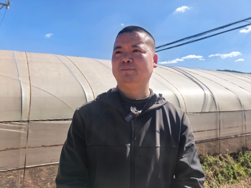 芸岭鲜生禄劝基地副场长周成和