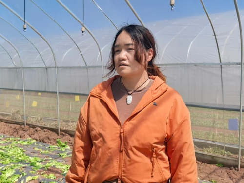 皎西村务工农户高丽娟