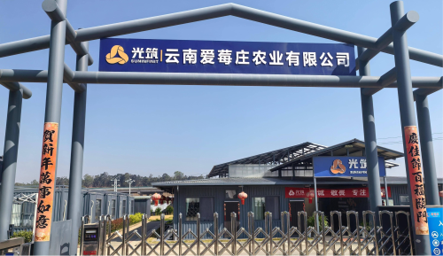 图片1 图片1