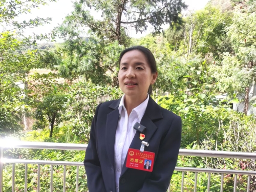 县人大代表  杨佐芹
