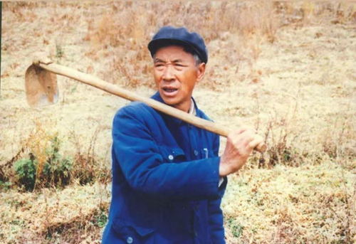 图片2