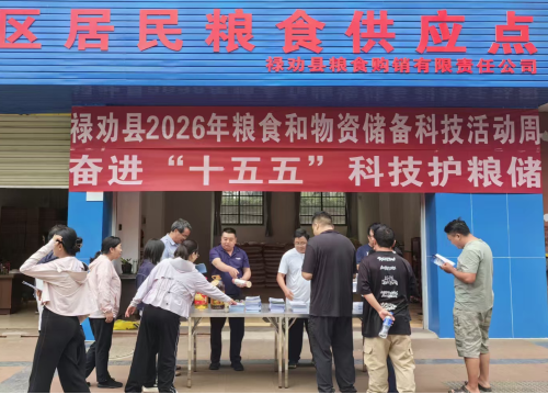 图片4