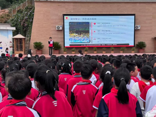 图片8