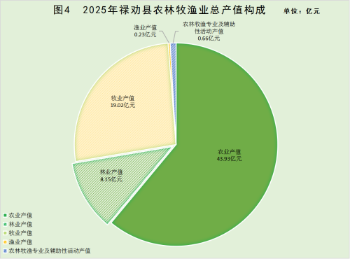 图片4 图片4